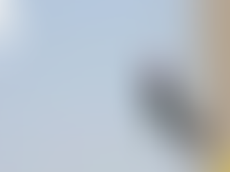 Seguro de Riesgo de Trabajo del IMSS: ¿Qué cubre y por qué es importante?