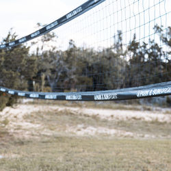 The-Liney-Moon_2023_WSmith-12-1-scaled