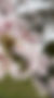 S__140247046.jpg