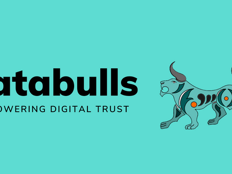 DATABULLS Artık Yeni Bir Aşamaya Geçiyor !