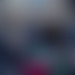 10 Jahre Pankower Adventsmarkt in den Heynhöfen