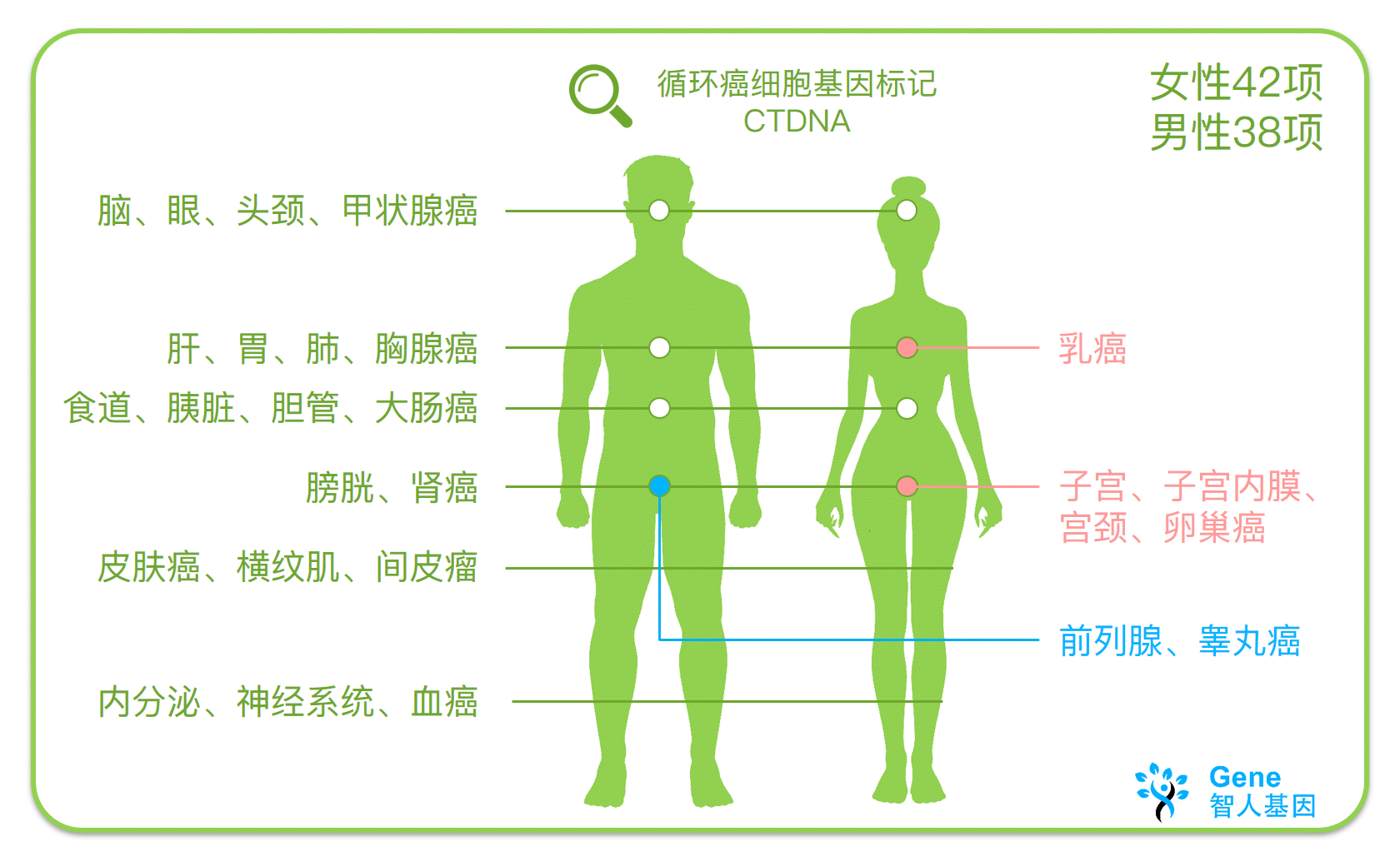 IMG_GTL_CTDNA_Overview_1_SC.gif