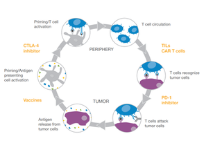 [illumina] 免疫治療，新一代的癌症治療方案
