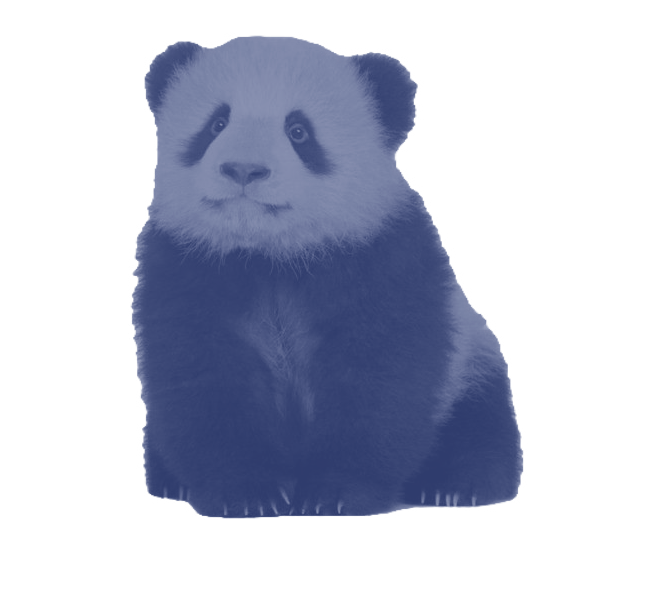 timg_edited_edited.png