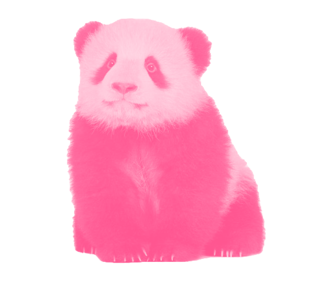 timg_edited_edited.png