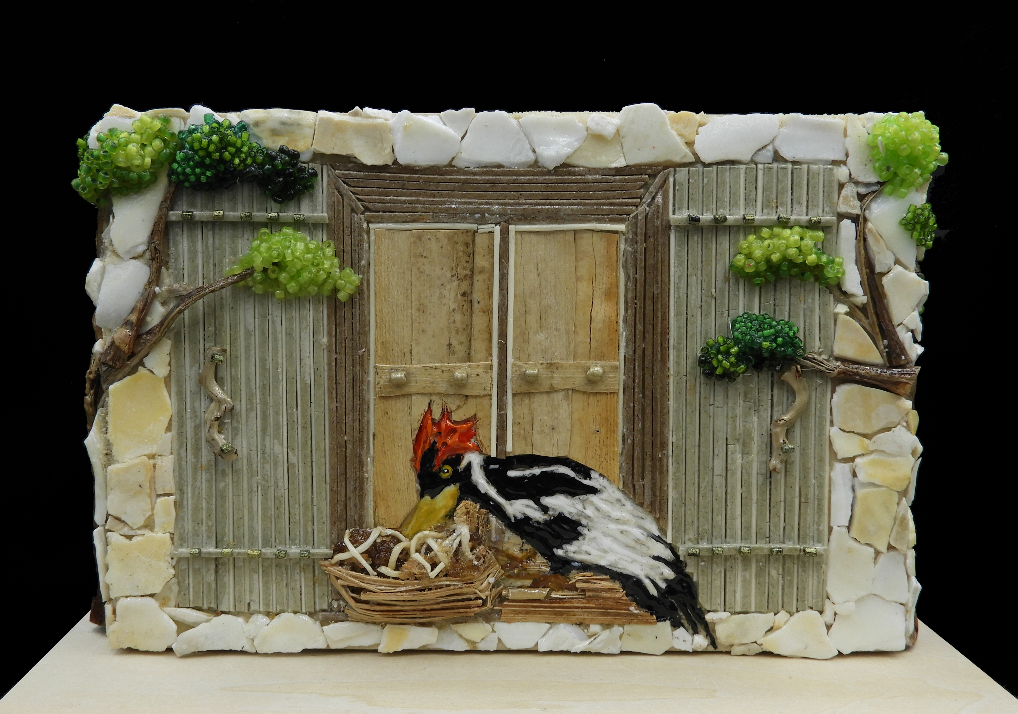 IVORY BILLED WOODPECKER