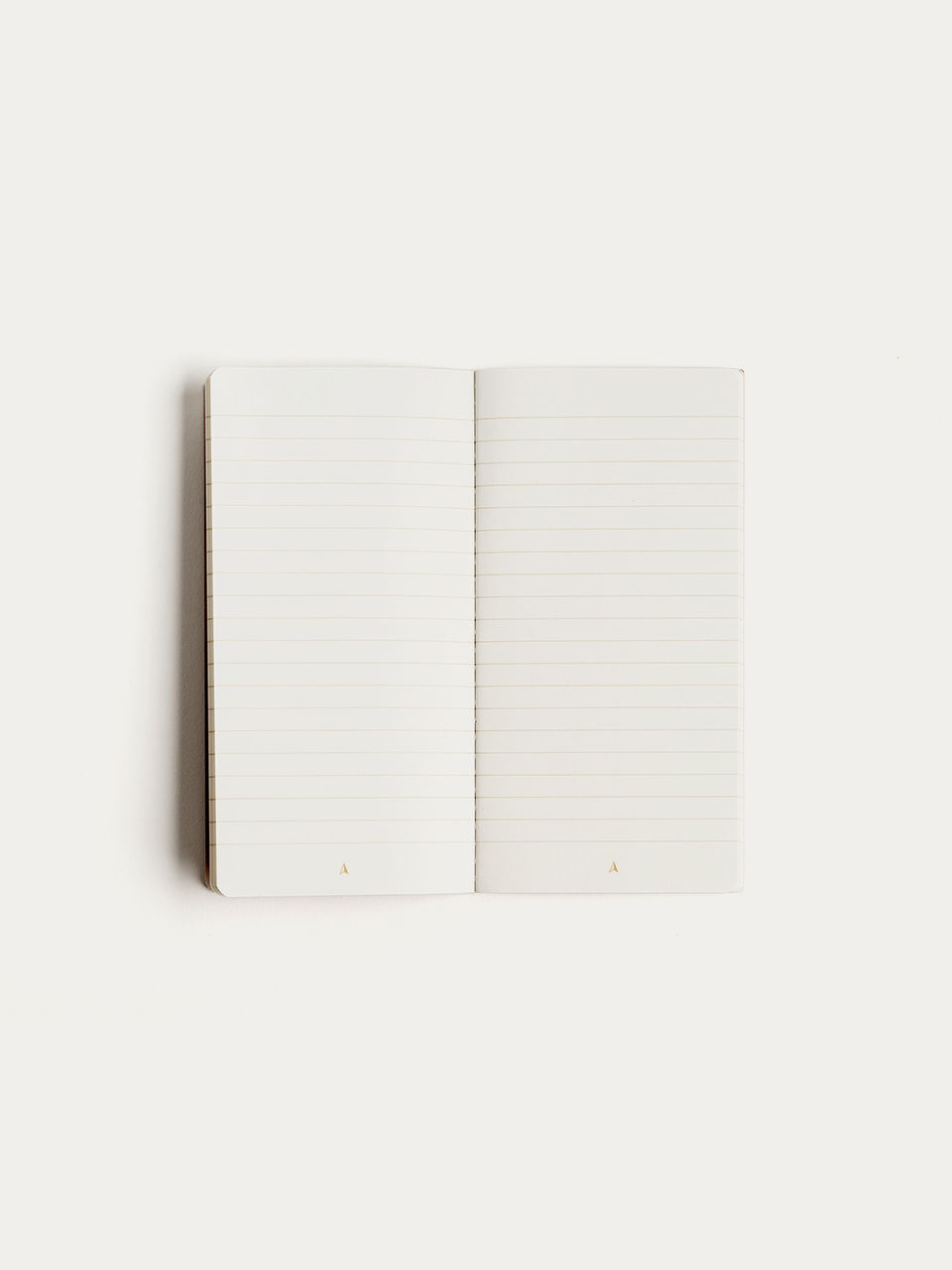 Thumbnail: Notebook Trio