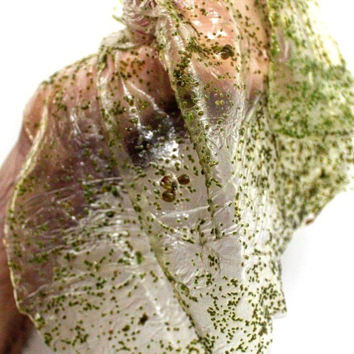 green watrer fabrics2.webp