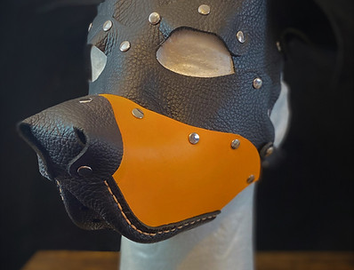 Yellow Puppy Hood Side.jpg