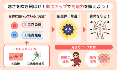 寒さを吹き飛ばせ!血流アップで免疫力を鍛えよう!