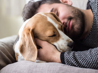 Finding Hope Through the Pain: Navigating Pet Loss Grief