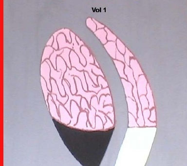 Título: 50 Años de Servidumbre: El Plan de los Acaparadores y la Respuesta Cristiana Autor: Juan Carlos Miro 