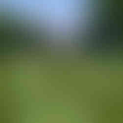 Lawn care after work job sterling heights