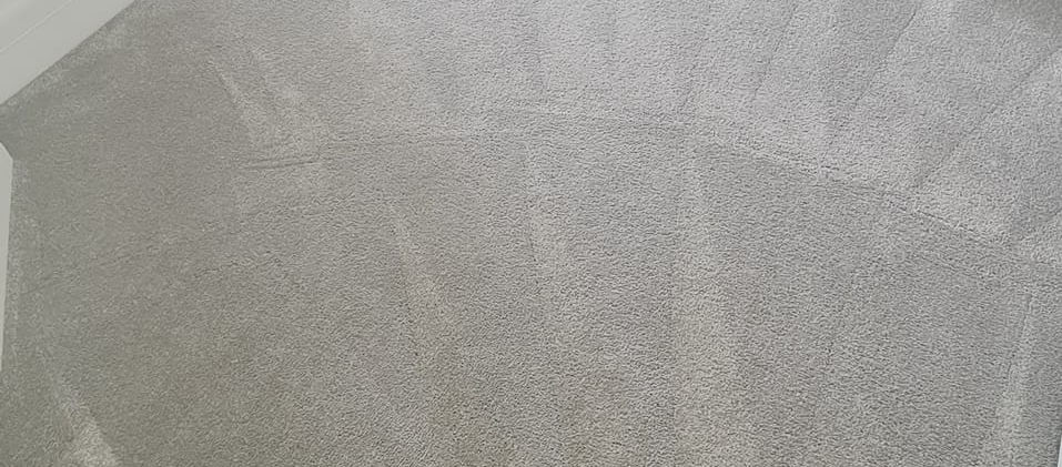 Clean Carpet.jpeg
