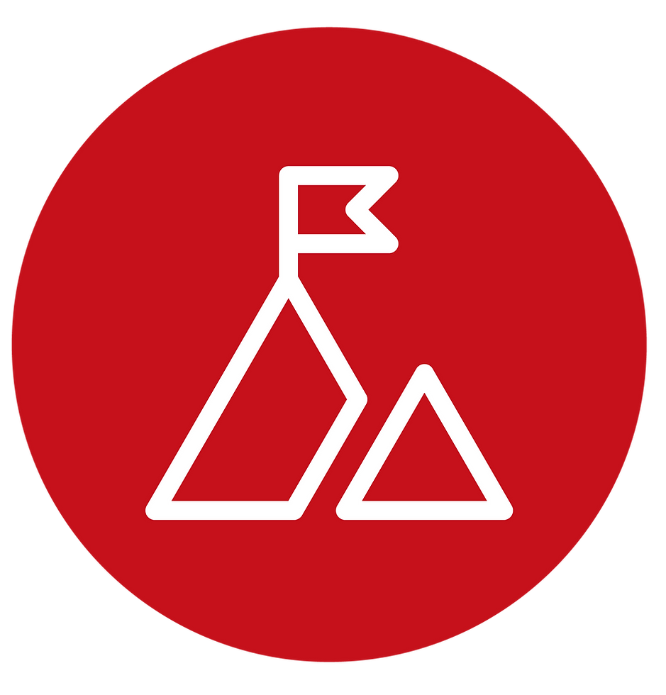 MissionnVision_icon-05.png