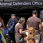 Haig Park Markets 2025.png