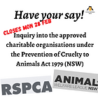 Have your say! (Instagram Post).png