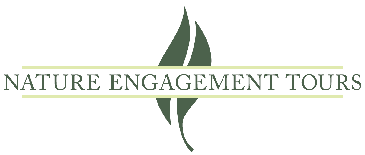 Nature Engagement Tours