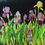 Thumbnail: Iris Interplay Silk Painting