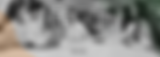 testimonial bg three.png