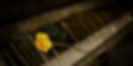 1047ac_815404aabd9f4a34975d55f11417f5e3_mv2.jpg