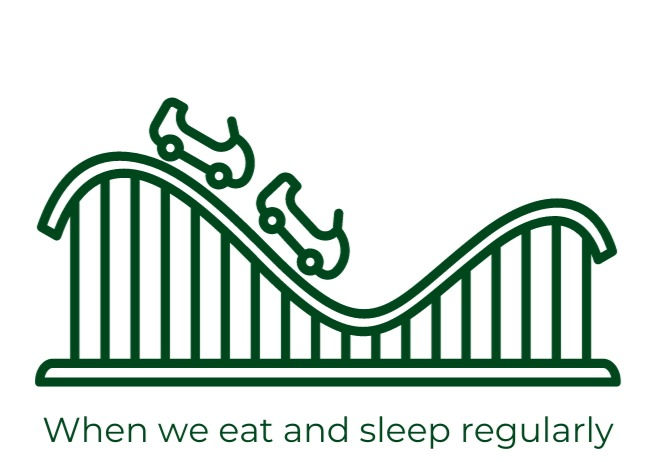 A kid roller coaster representing emotions when we get adequate nutrition and sleep