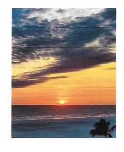 If you want to experience something beautiful, viewing a sunset from the beach is a "shore" thing.