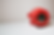 BLOQUE-6.png