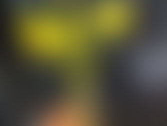 The Beloved Kin-dom | Matthew 13:32-33, 44-52