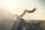 1080_blowing-shofar.jpg