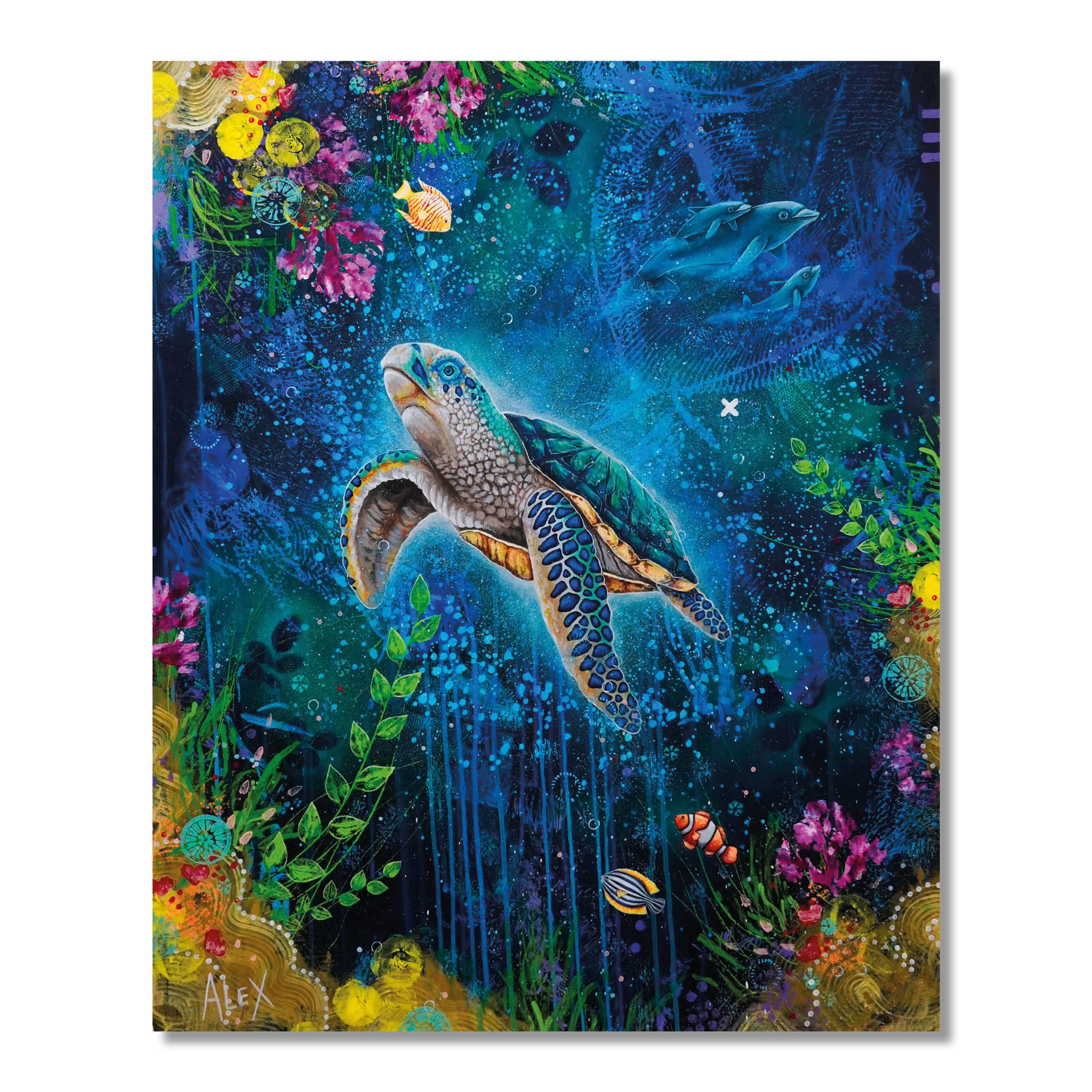 Impression Tortue 2 - 8 x 10 pouces