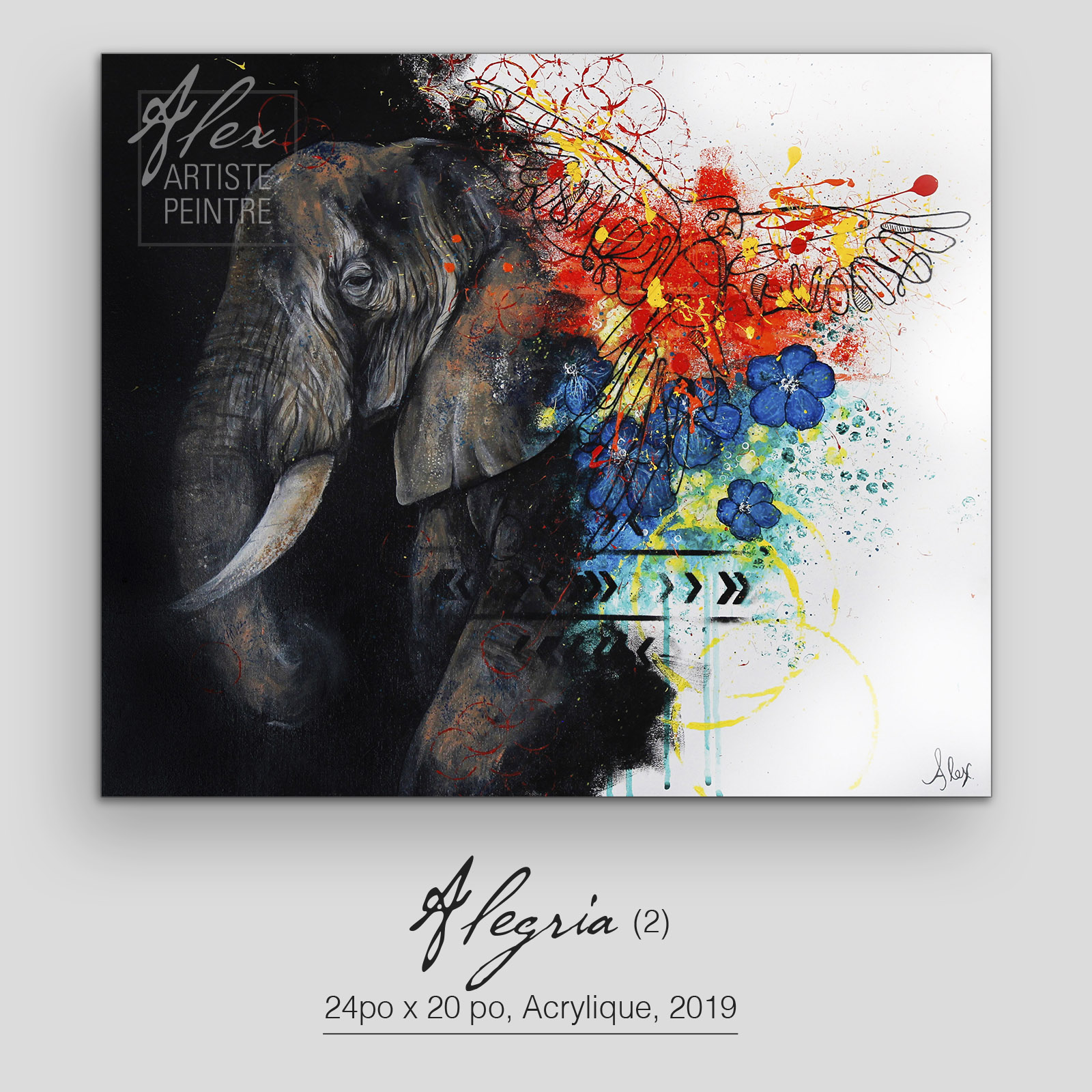 Alegria (2)