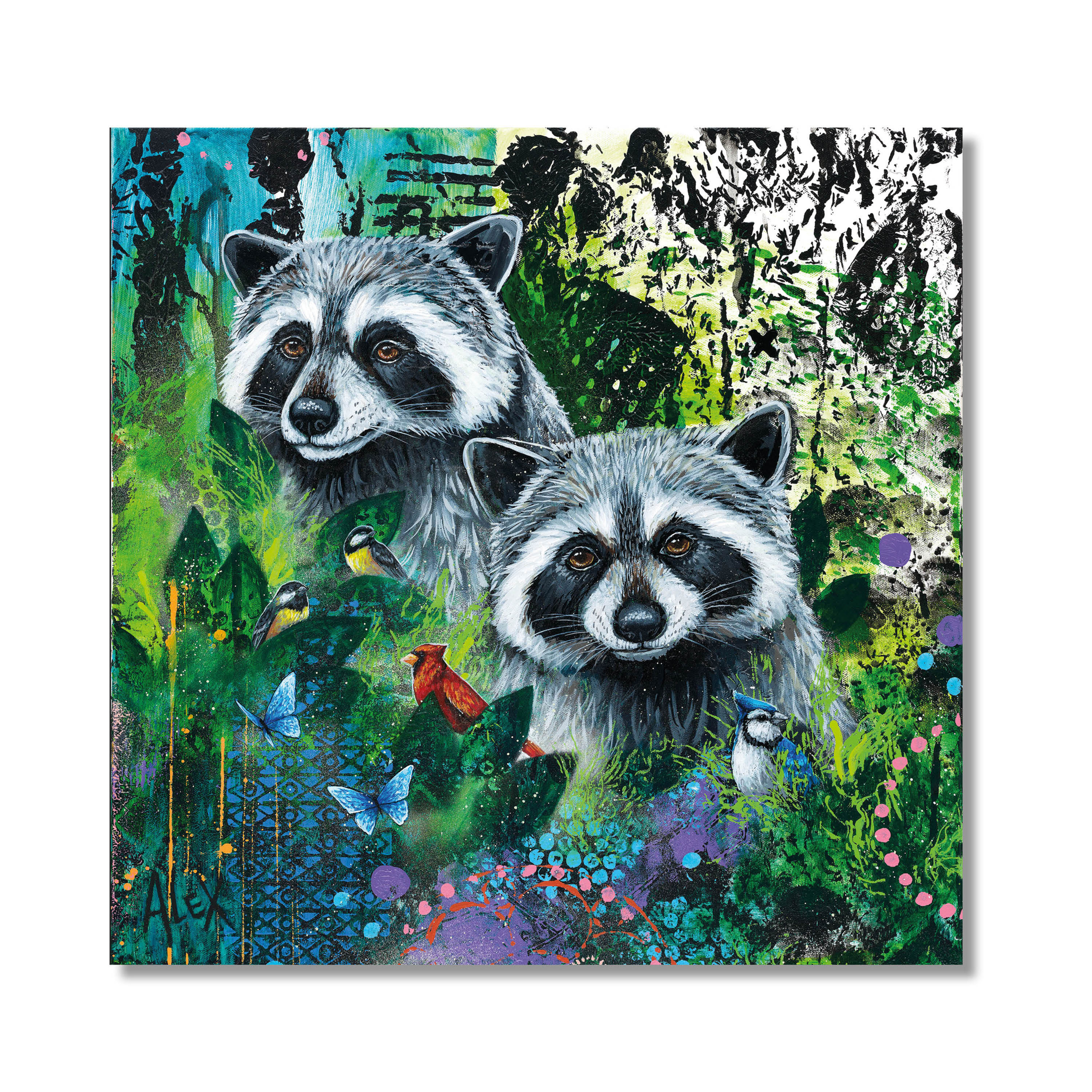Impression - Ratons laveurs - 8 x 8 pouces