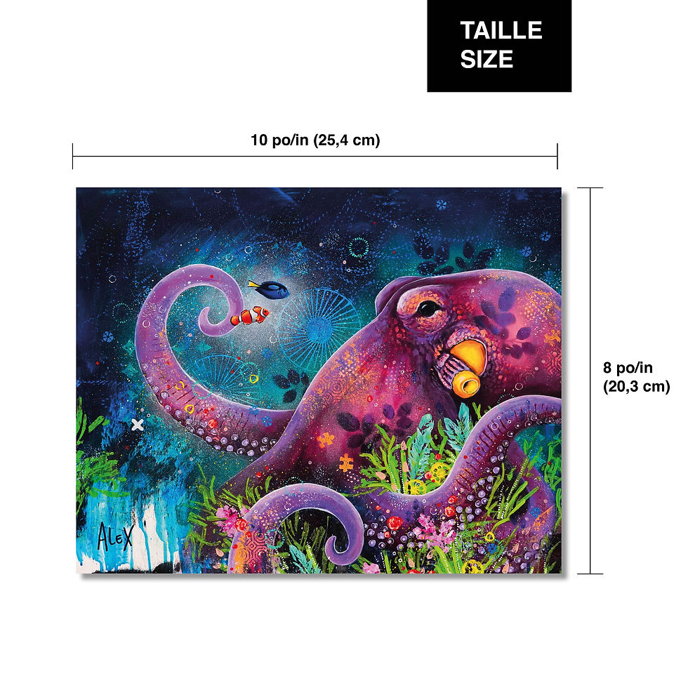 Thumbnail: Octopus - 8 x 10 inches
