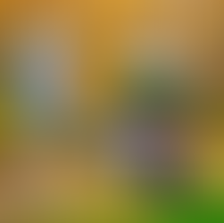 Weekend Project or Value Killer? Read This Before You Start!