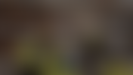 Transformación Lean en el sector logístico