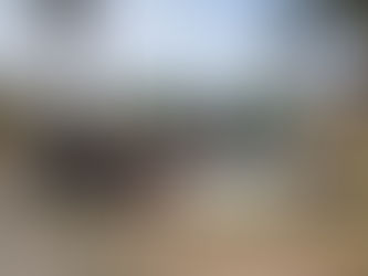 4월19일 경북청송어린참나무1천그루심기 보고서