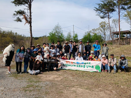 4월19일 경북청송어린참나무1천그루심기 보고서