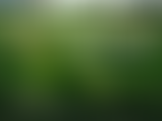 2026기후시민시네마스쿨