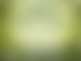 4월 19일 일요일 경북불탄숲에 어린참나무를 심으러 갑니다!