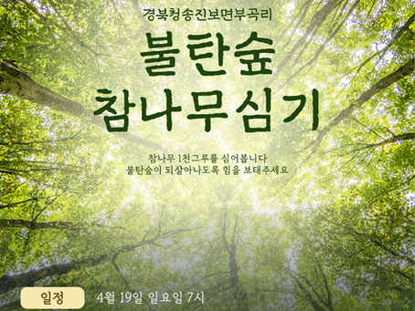 4월 19일 일요일 경북불탄숲에 어린참나무를 심으러 갑니다!