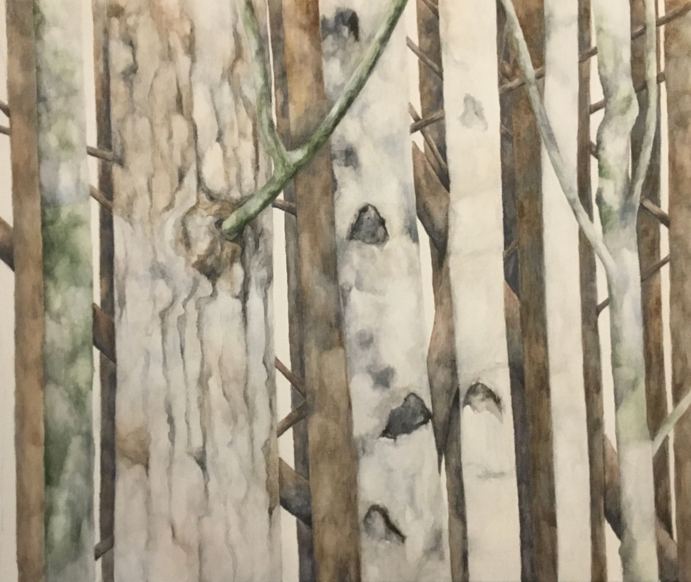 Swedish Trees