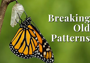 a butterfly out of their cocoon 