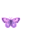 33983.gif