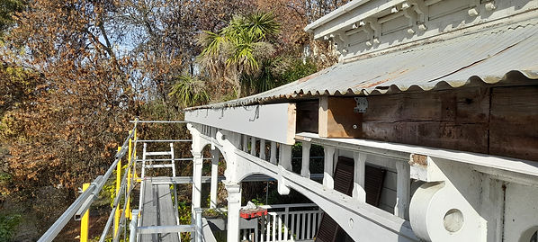 Gutter and Fascia Replacement.jpg