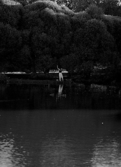Artist Emma Lomy at her pond
