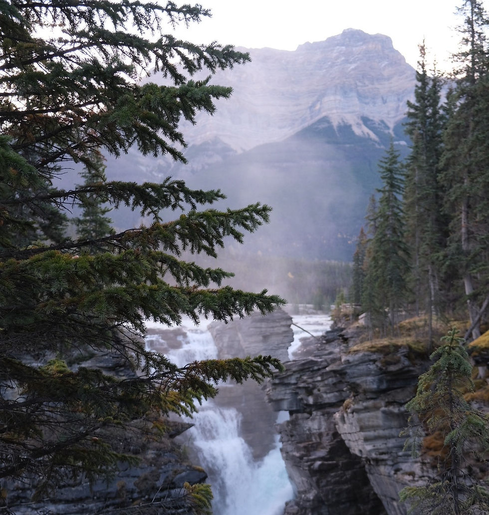 Road trip in the Canadian Rockies: Jasper National Park.