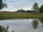 Pond with fencing