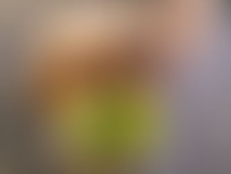 Caylee The Zen Puppy