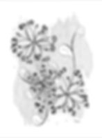 Original hand-drawn doodles created simply for the joy of drawing.